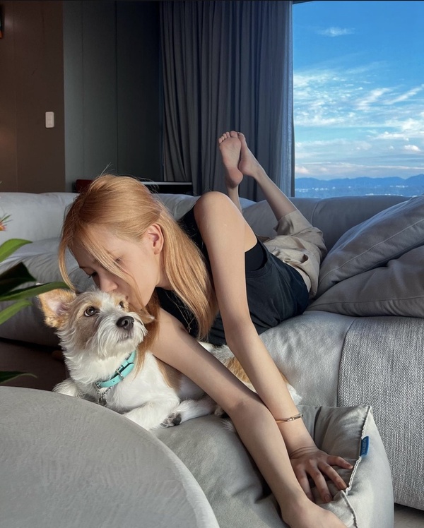 明星寵物們的名牌行頭：Tiffany&amp;amp;Co.項圈