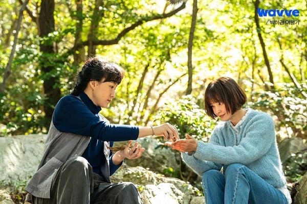 近期韓劇熱度排行TOP10!《King the Land》未播先紅,這部竟打敗《車貞淑醫生》奪冠