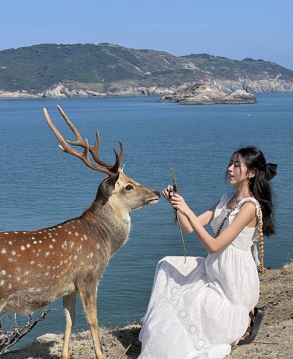 馬祖景點：大坵島