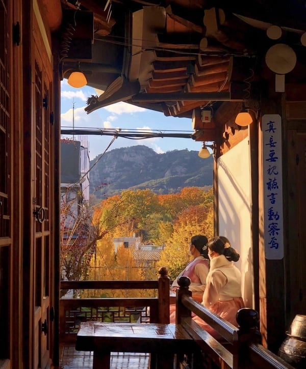 首爾韓屋咖啡廳推薦:飲茶庭院 차마시는뜰