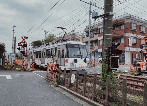 澀谷一日遊！SHIBUYA SKY景觀台、宮下公園，加碼推薦世田谷線上的「招財貓」神社