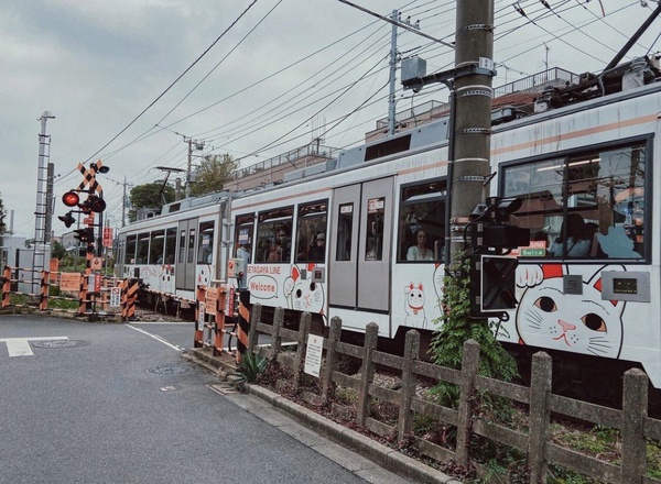 澀谷一日遊景點推薦：幸福的招財貓電車