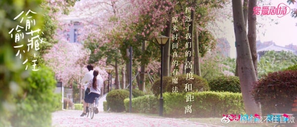 《偷偷藏不住》15句純愛經典語錄:「是妳讓我突然很想試試看,去愛一個人不顧所有」