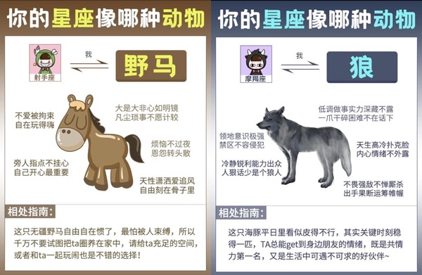 你的星座像哪種動物？陸網爆紅心理測驗，6道題目測出你是什麼動物、性格及相處指南
