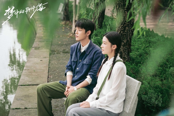六月陸劇評分榜TOP10!《長風渡》6.5《偷偷藏不住》6.7,冠軍8.5分贏《當我飛奔向你》