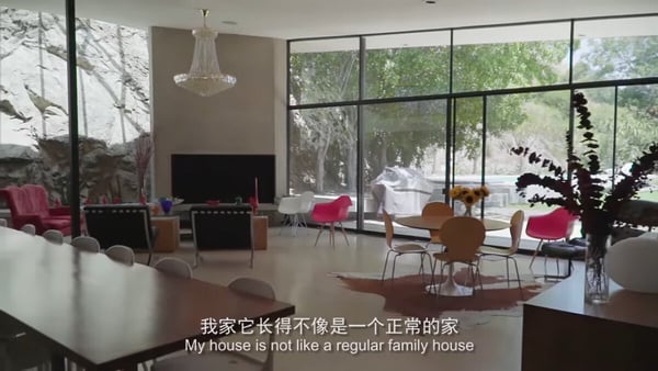 8位富二代陸劇明星!《偷偷藏不住》趙露思哥背景狂，魏大勳是貴公子，她家豪宅12億起跳