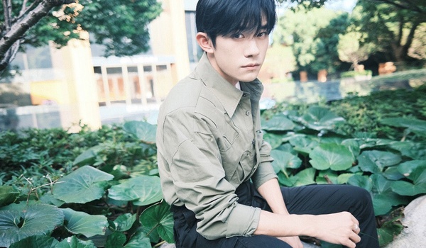 陸劇9位「有演技的流量明星」!趙麗穎85花沒對手，楊紫90花沒對手，吳磊排得進95生前三