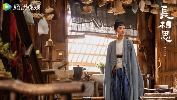 《長相思》劇情、角色介紹+必看亮點！楊紫、張晚意上演虐心四角戀，高還原度書迷必看