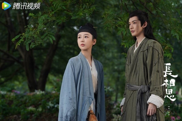 《長相思》劇情、角色介紹+必看亮點！楊紫、張晚意上演虐心四角戀，高還原度書迷必看