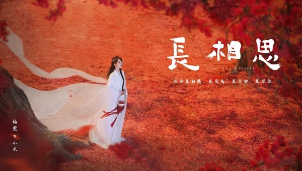《長相思》劇情、角色介紹+必看亮點！楊紫、張晚意上演虐心四角戀，高還原度書迷必看