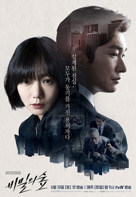 「龍頭龍尾」的電視劇佳作TOP2:《秘密森林》