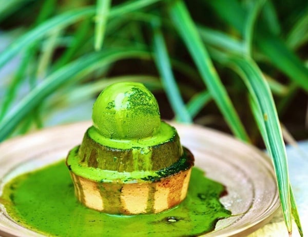 東京布丁推薦:IPPUKU&matcha