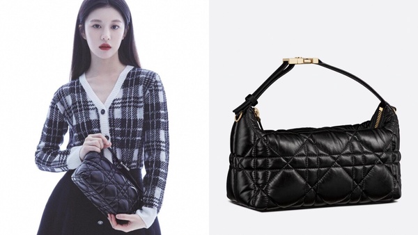 高允貞精品包收藏4:DIOR中碼DIORTRAVEL NOMAD小袋