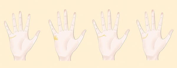 手相怎麼看？「男左女右」竟是錯誤觀念，5條主掌紋解析一次看