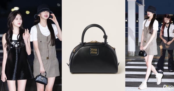 6.IVE張員瑛:miu miu皮革手挽袋