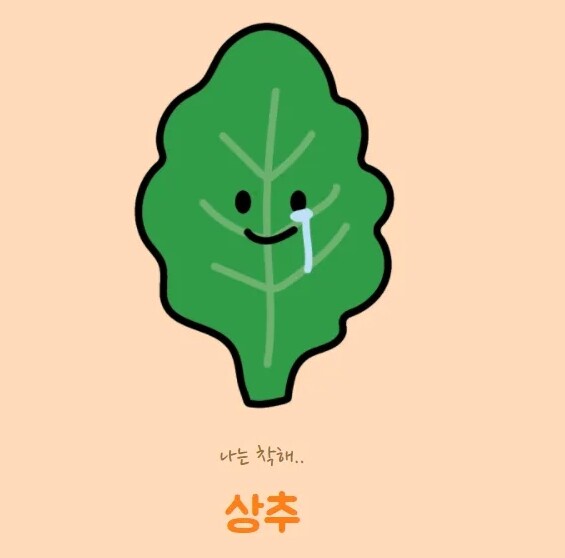 你的代表蔬菜是什麼？韓國超Q「蔬菜MBTI」心理測驗，測你的真實性格＆最合得來的朋友