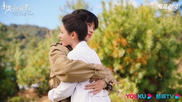 陸劇《南風知我意》劇情5大看點！分集劇情+角色介紹，成毅、張予曦三搭開啟甜虐戀模式