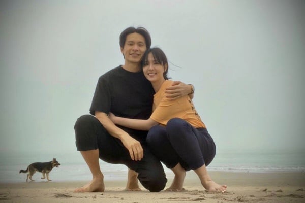 2023年高產台劇演員!吳慷仁3部,姚淳耀4部,曾敬驊高達6部,王淨宇宙是真的!