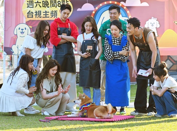 2023台灣實境節目熱度TOP10！《毛小孩》舒華加持，冠軍卡司超豪華，《營業中》沒上榜
