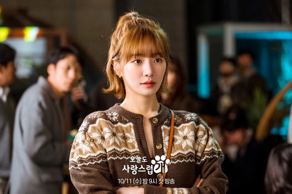 十月「最受歡迎韓劇」TOP9！《大力女子姜南順》僅第6，《惡中之惡》第2，冠軍是大黑馬