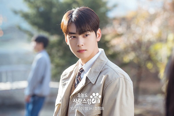 十月「最受歡迎韓劇」TOP9！《大力女子姜南順》僅第6，《惡中之惡》第2，冠軍是大黑馬