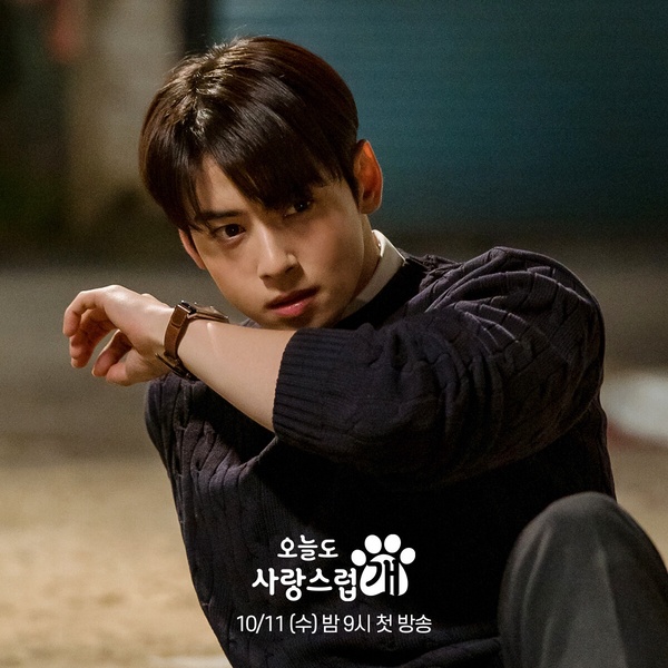 近期Netflix韓劇「全球積分」TOP8!《戀愛不可抗力》第二,《大力女子姜南順》太狂了