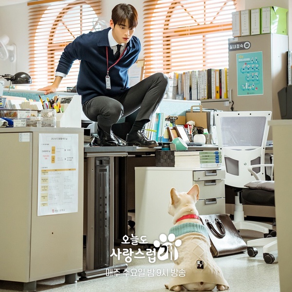 十月「最熱門韓劇」TOP10！池昌旭《惡中之惡》第8《大力女子姜南順》第2，冠軍真的紅