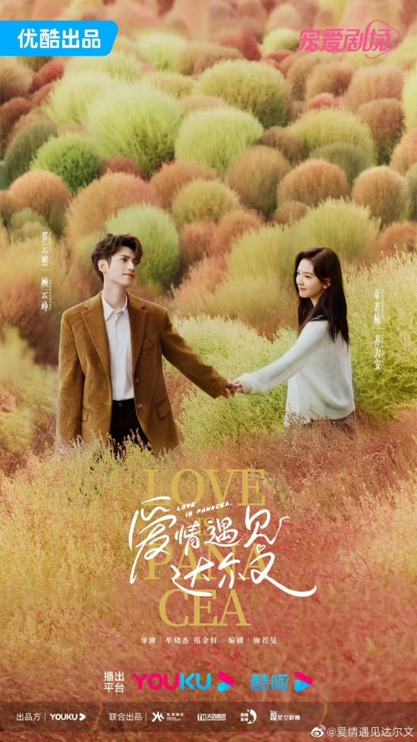 7部11月必追陸劇！《以愛為營》白鹿、王鶴棣CP未播先火，龔俊、羅雲熙新劇也要開播！