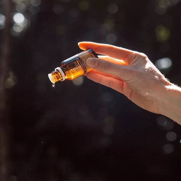 薰香機用法&推薦薰香機用法&推薦