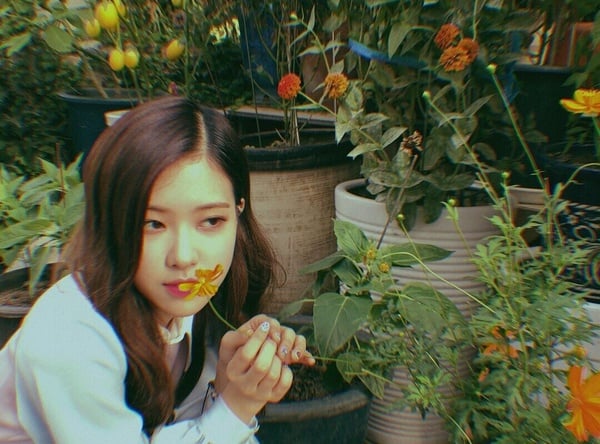 BLACKPINK Rosé十件事:從被嘲全團最路人,逆襲成氛圍感美女,Coachella 一戰成名!