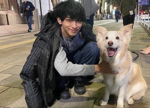 日本傳翻拍《無法抗拒的他》！男主角橫濱流星的8個魅力點，讓你直接入坑的代表作推薦