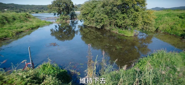 《無人島的DIVA》7個劇情伏筆!木河何時得知保傑是基浩?這幕透露保傑家身份有問題?