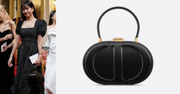 BLACKPINK Jisoo同款精品包：Dior CD SIGNATURE 橢圓手袋 價格店洽