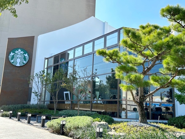 抹茶控開喝星巴克優惠！星巴克台中沙鹿門市開幕，星巴克熊收納盒必買再推抹茶葛粉那堤