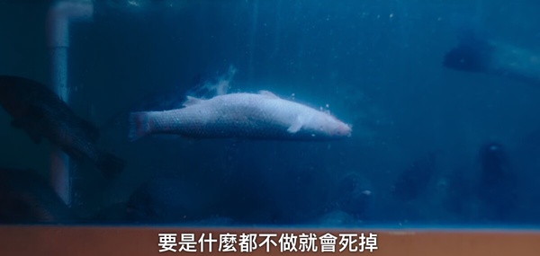 《無人島的DIVA》劇情隱喻