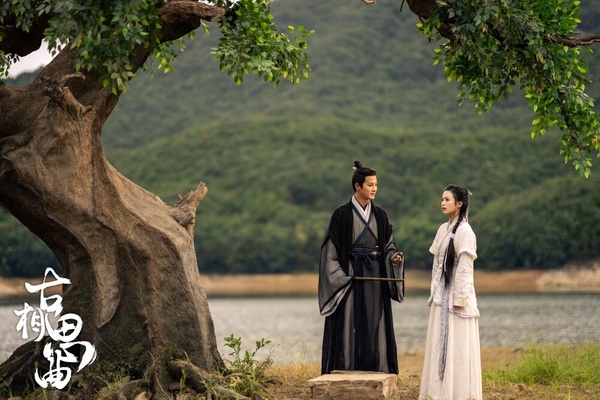 2023下半年8部好評小成本古裝劇!《歲歲青蓮》宮鬥變宅鬥,《燼相思》CP火花強!
