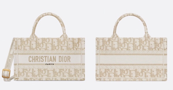 Dior 2024早春度假系列必收8：迷你DIOR BOOK TOTE手挽袋連肩帶 NT$80,000