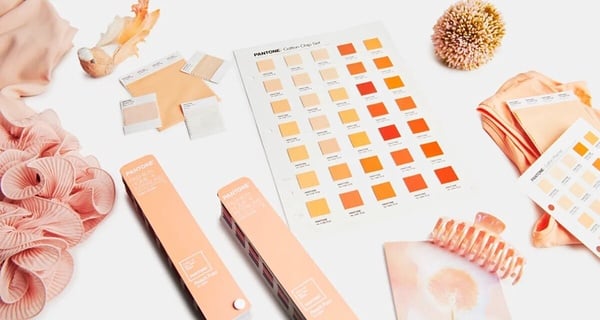 Pantone 2024柔和桃腮紅推薦，超顯嫩