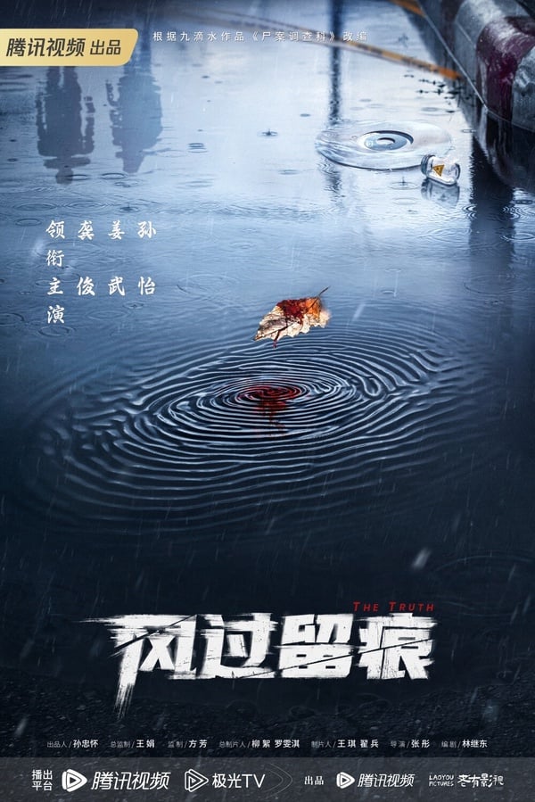 2024「現偶陸劇」15部推薦！《在暴雪時分》高甜預警，許凱《你比星光美麗》熱度高！