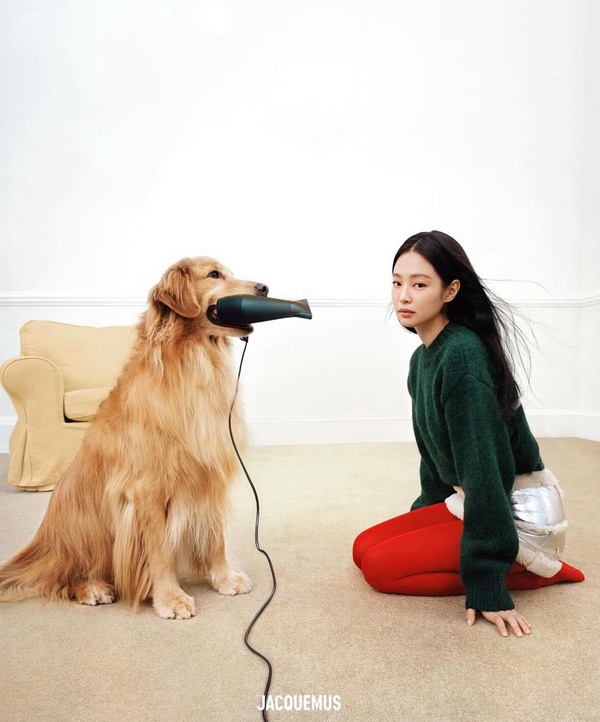 你有什麼隱藏才能？日網超準心理測驗，憑直覺選擇一隻狗，測出你的真實性格&amp;amp;花錢習慣