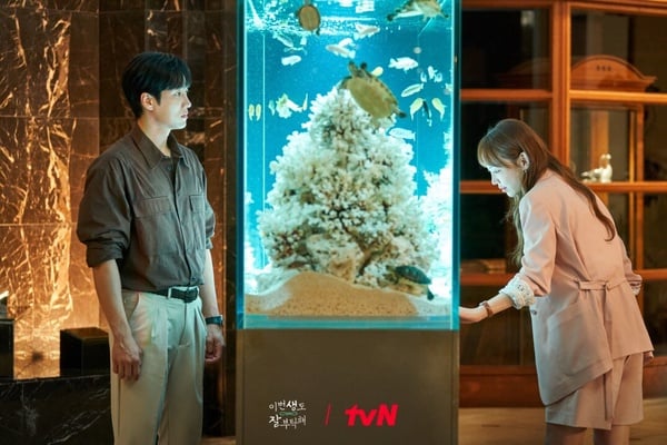日票選2023「最熱門韓劇」TOP10！《浪漫速成班》第6，《與惡魔有約》第2，冠軍不意外