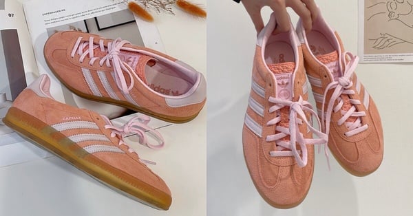 2024必收GAZELLE色號&amp;amp;amp;amp;amp;型號推薦：GAZELLE INDOOR 