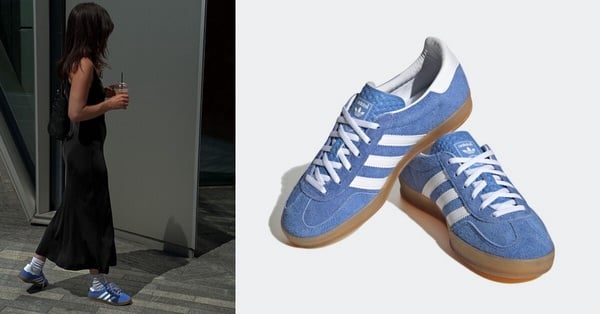 2024必收GAZELLE色號&amp;amp;amp;amp;amp;型號推薦：GAZELLE INDOOR 