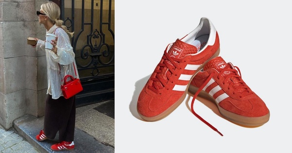 2024必收GAZELLE色號&amp;amp;amp;amp;amp;型號推薦：GAZELLE INDOOR 
