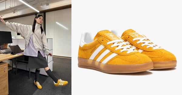 Samba最強勁敵！2024 adidas Originals GAZELLE最火型號&amp;amp;amp;amp;色號20雙總整理！