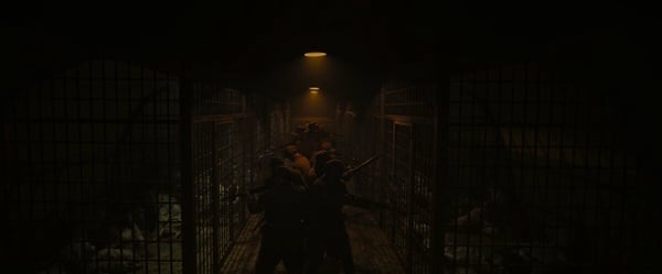 《京城怪物》人體實驗原型是「日本731部隊」！活人解剖、人畜雜交，現實比劇情還可怕