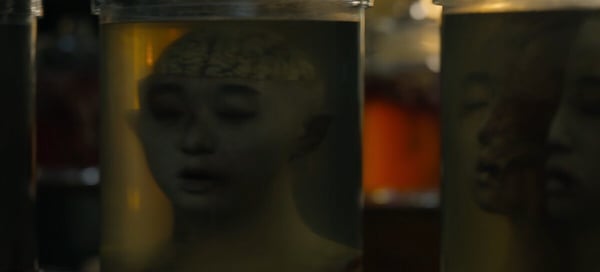 《京城怪物》人體實驗原型是「日本731部隊」！活人解剖、人畜雜交，現實比劇情還可怕