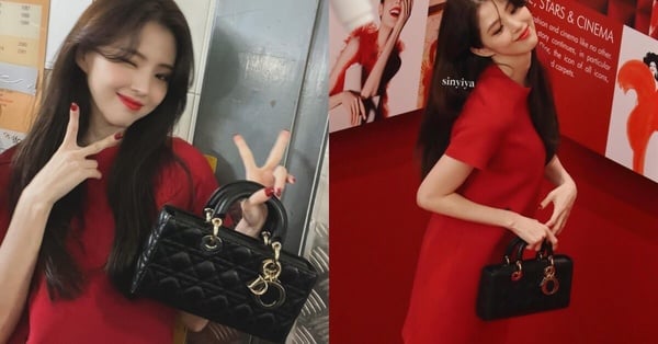Dior不只能優雅如公主，也能帶點小叛逆！韓韶禧徹底帶火6款經典包，人間迪奧換人當！