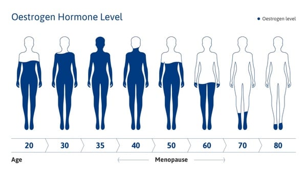 40歲更年期症狀。40-60歲menopause圖指女性更年期,逐漸出現雌激素降低