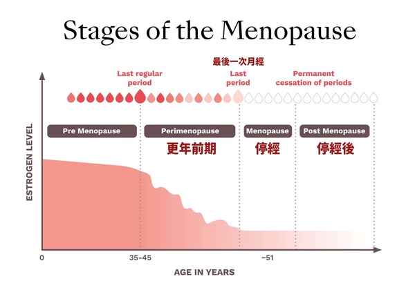 40歲更年期症狀。女性隨著雌激素降低，先是面對更年前期，接著停經